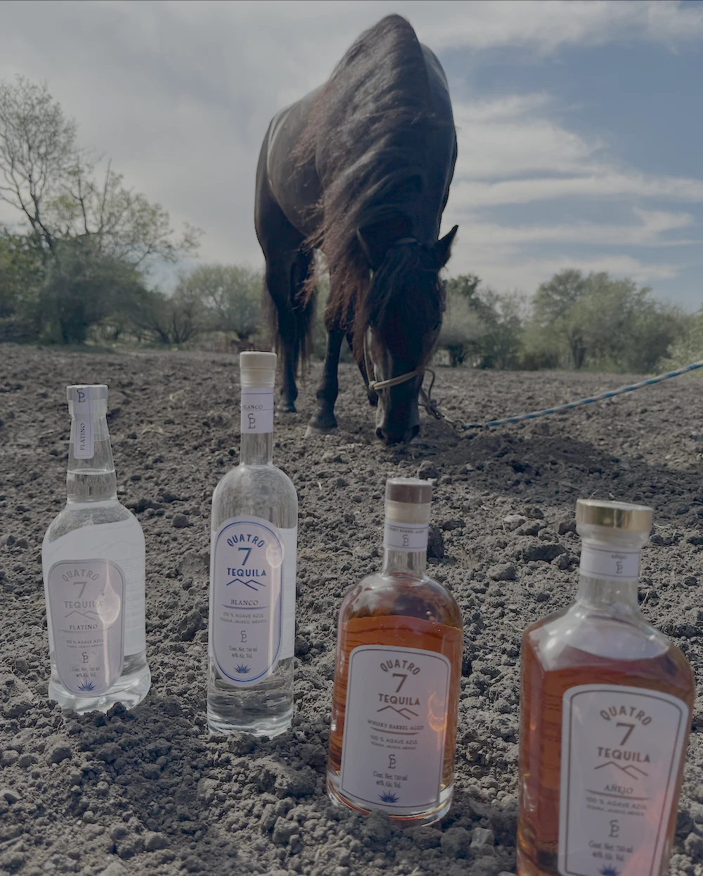 Colección Premium Quatro 7