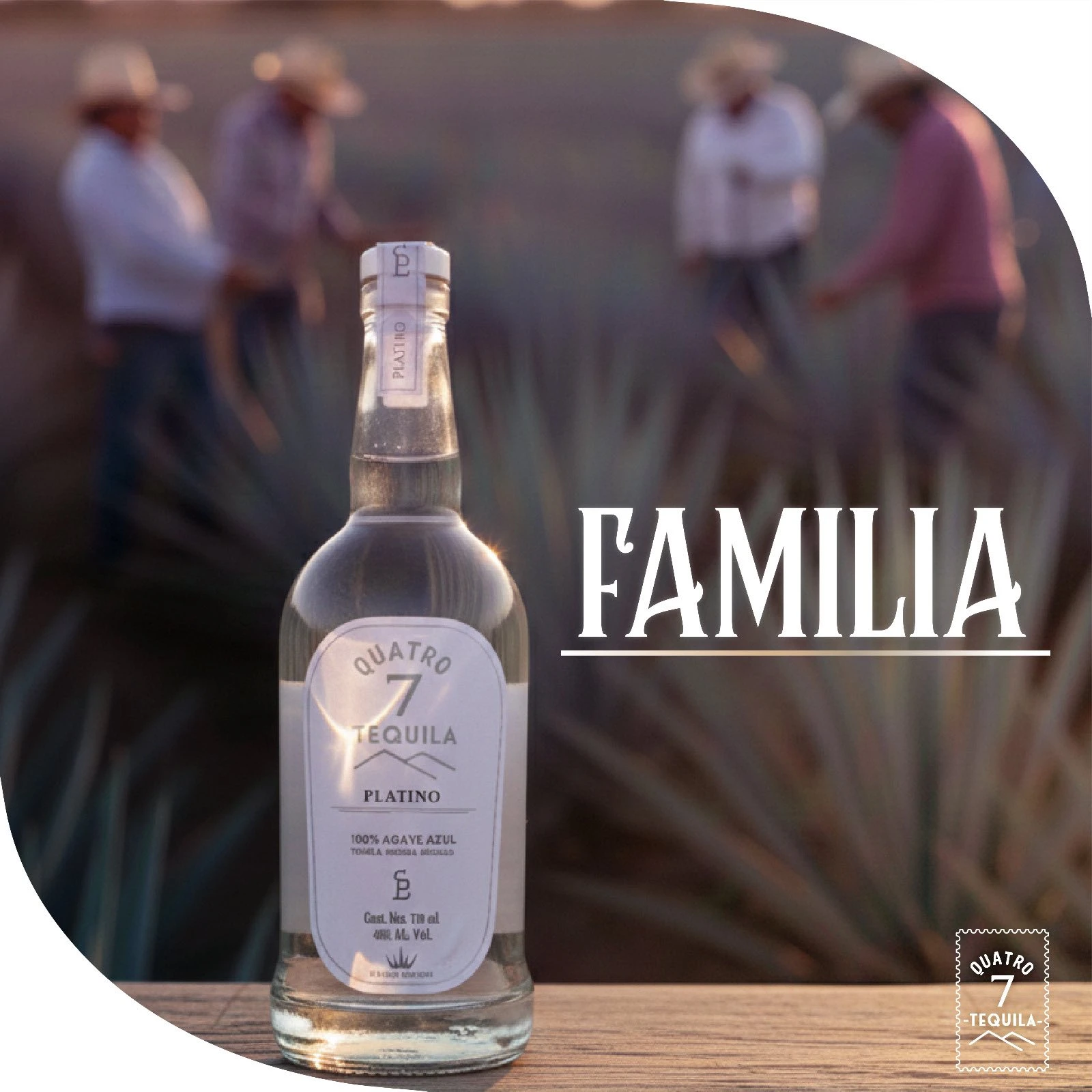 ¡El juego con nuestras nuevas adiciones!