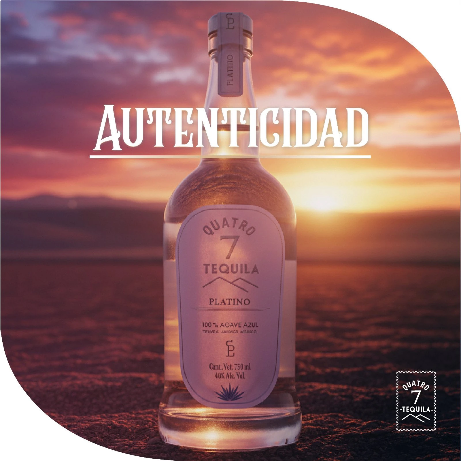 ¡El juego con nuestras nuevas adiciones!