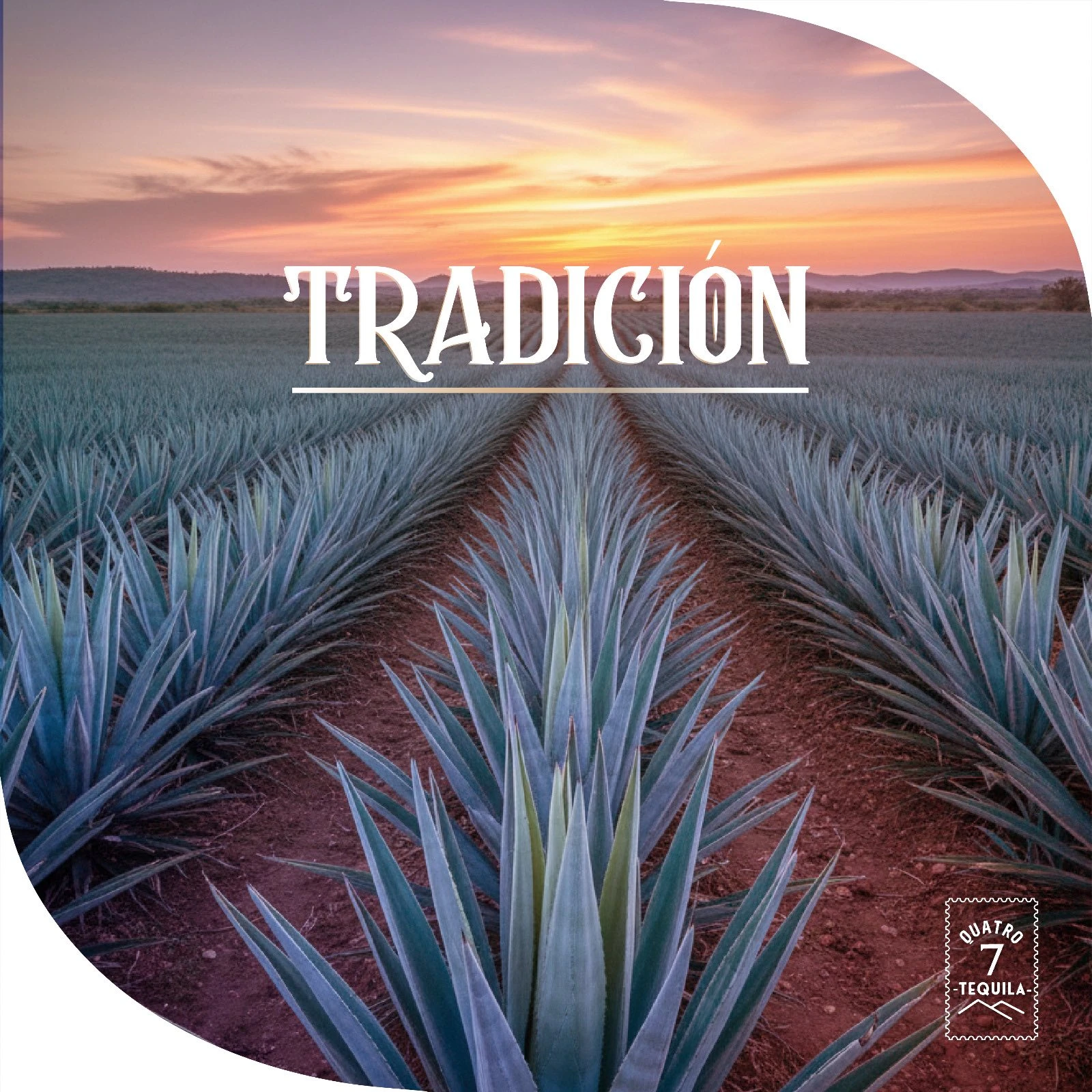 ¡El juego con nuestras nuevas adiciones!