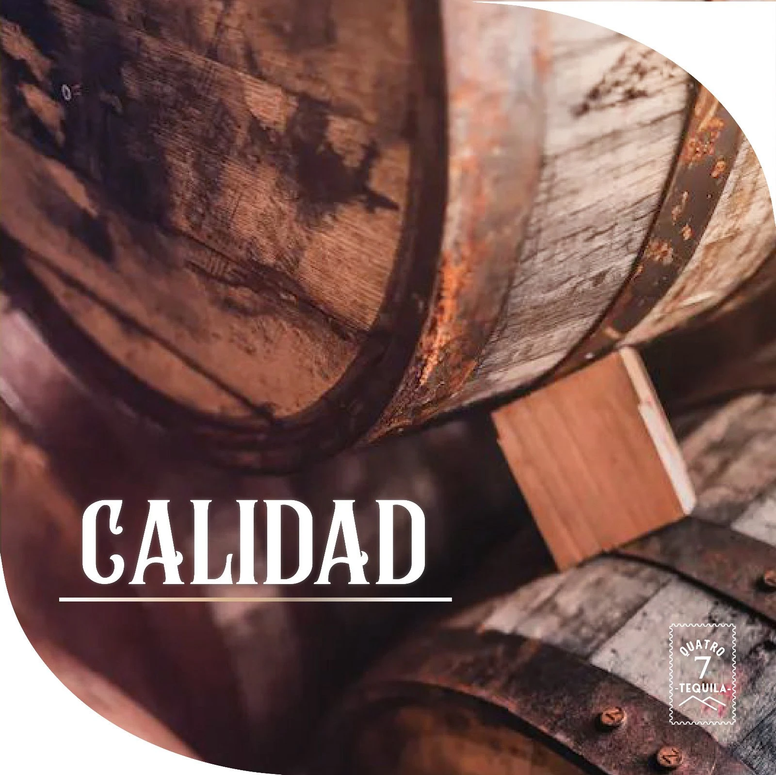 ¡El juego con nuestras nuevas adiciones!