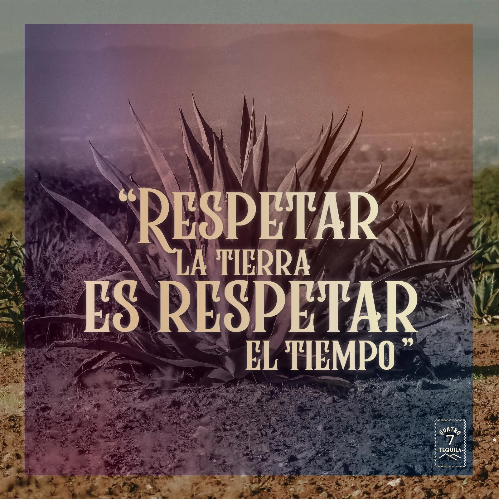 Colección Premium Quatro 7