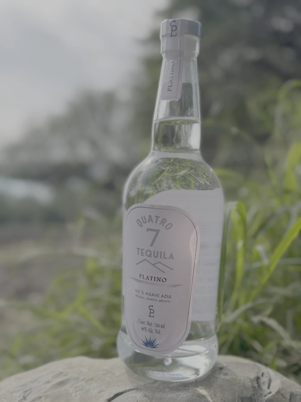 ¡El juego con nuestras nuevas adiciones!