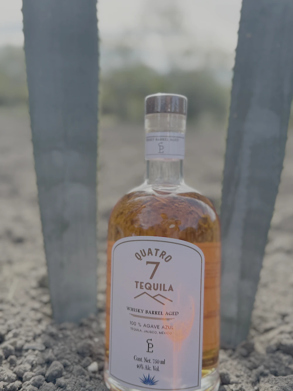 ¡El juego con nuestras nuevas adiciones!